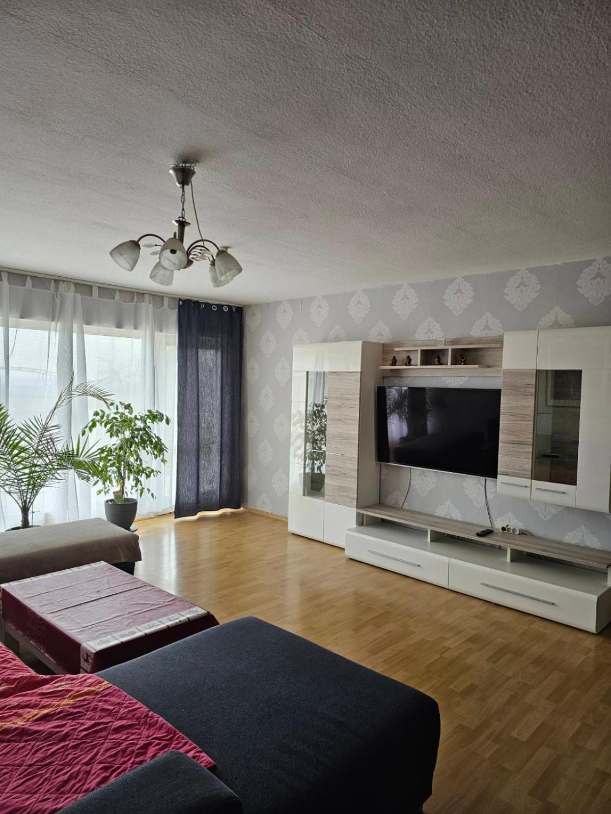 XXL Business Apartment Wertheim Extérieur photo
